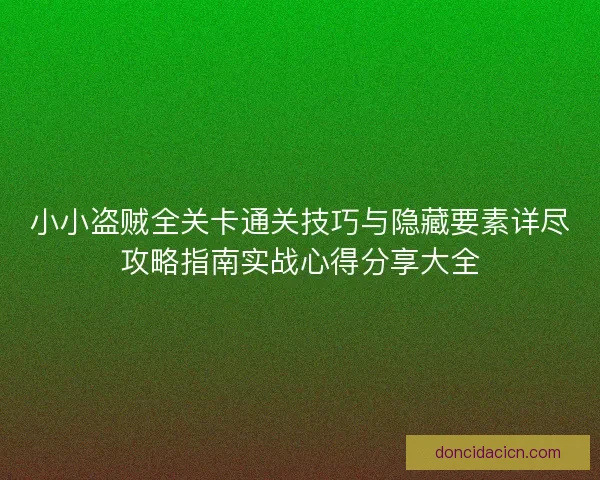 小小盗贼全关卡通关技巧与隐藏要素详尽攻略指南实战心得分享大全