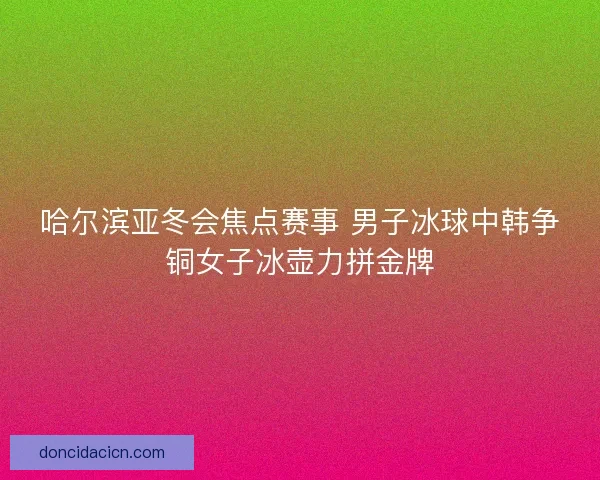哈尔滨亚冬会焦点赛事 男子冰球中韩争铜女子冰壶力拼金牌