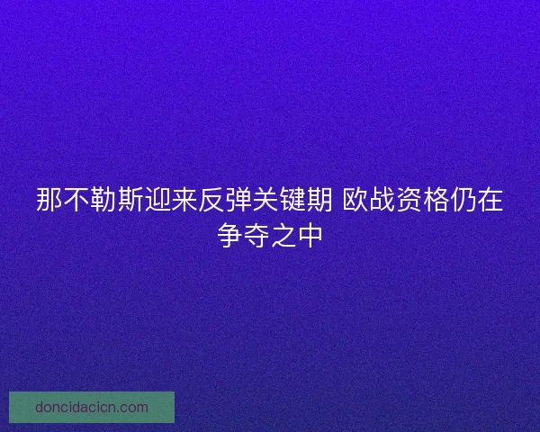 那不勒斯迎来反弹关键期 欧战资格仍在争夺之中
